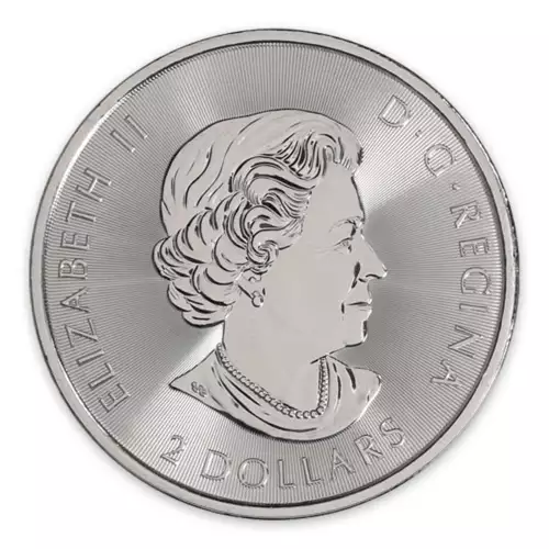 2018 Canadian 1/2 oz Silver Polar Bear Coin (3)