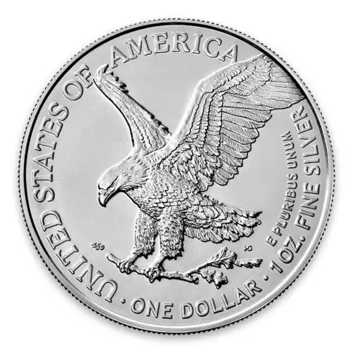 2022 1oz American Silver Eagle (3)